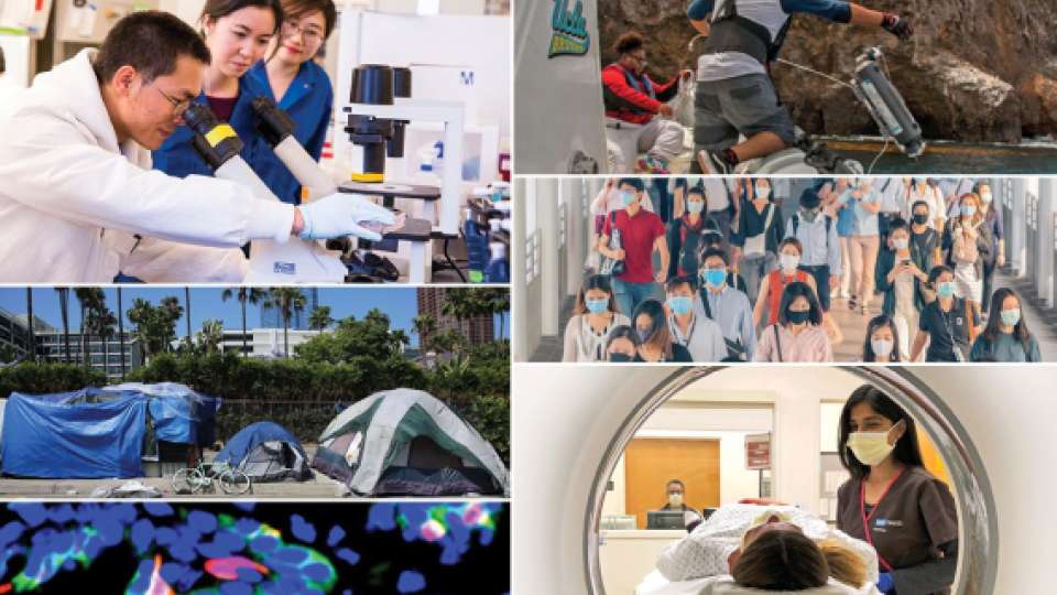 Division of UCLA Division of Dermatology UCLA Health